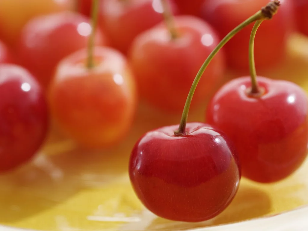 вишни, cherry, вишня, макро