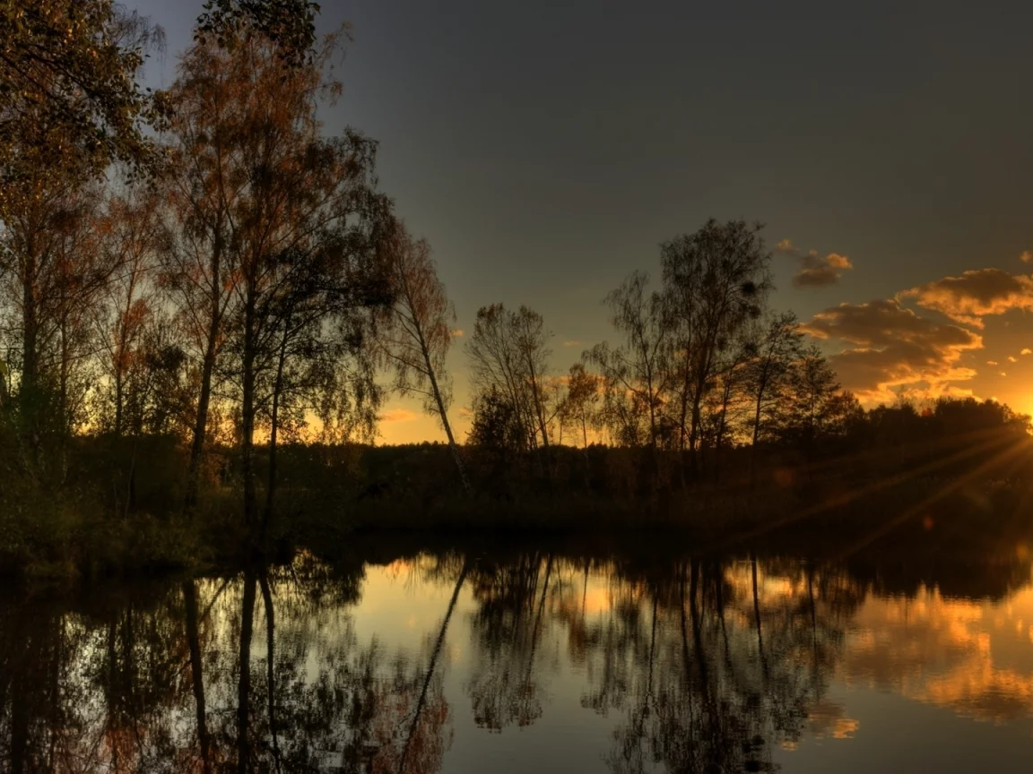 вода, отражение, тишина, озеро, солнце, лес, лучи, вечер, свет, деревья, закат