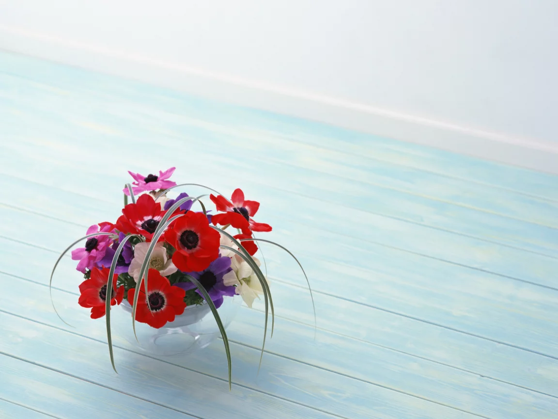 красота, цветы, red, композиция, flowers