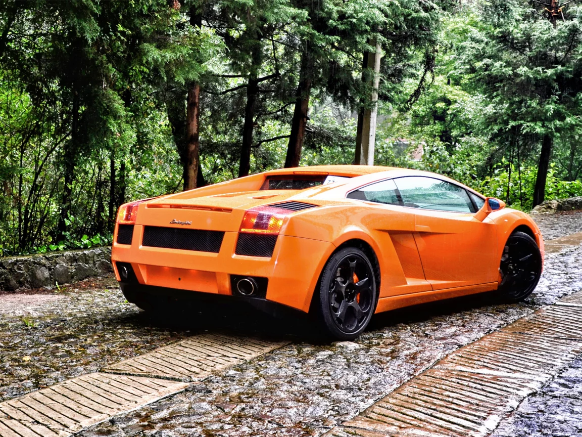 фото, auto, cars, lamborghini gallardo