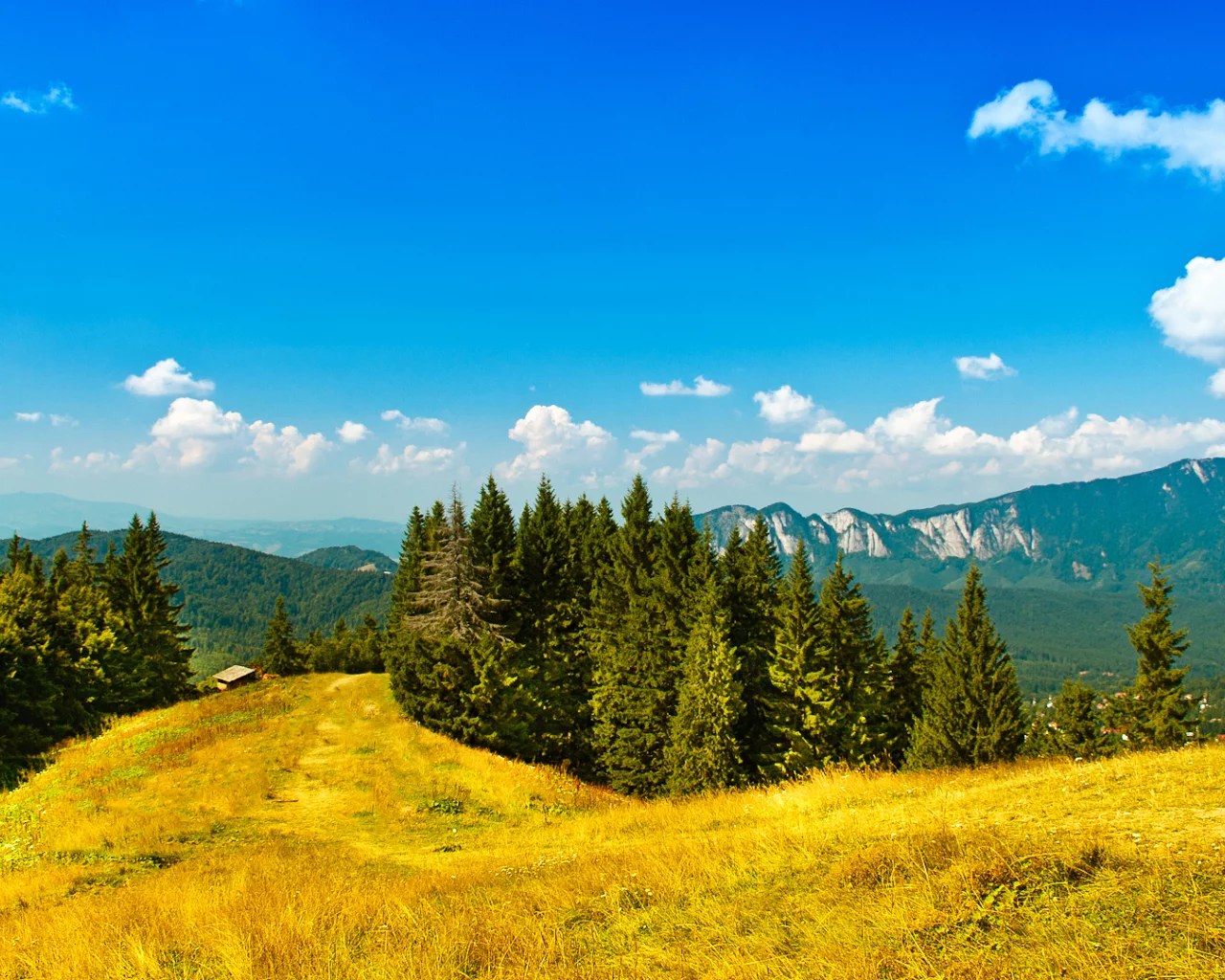 sky, пейзаж, trees, landscape, деревья, 1920x1080, зелень, облака, nature, трава, небо, mountains, greenery, лес, clouds, природа, grass, горы, forest