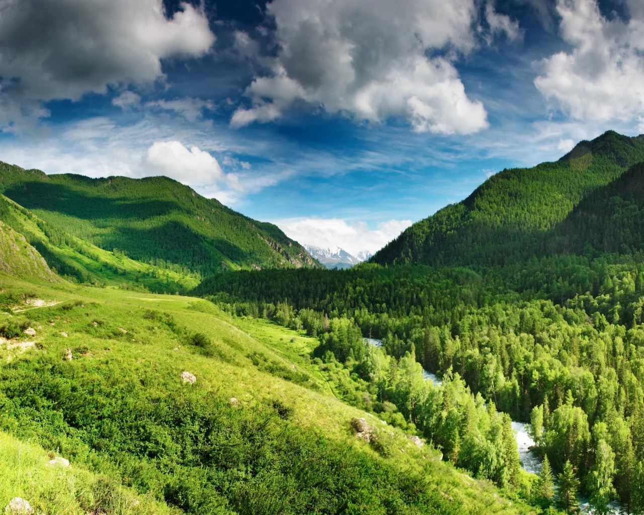 река, лес, небо, горы, голубое, green highlands, облака