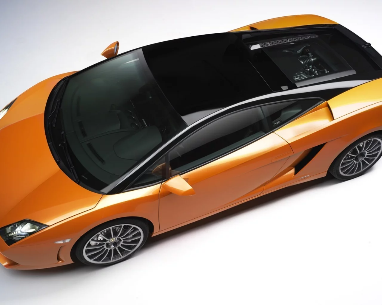 lamborghini, lp560_bicolore_2011, gallardo