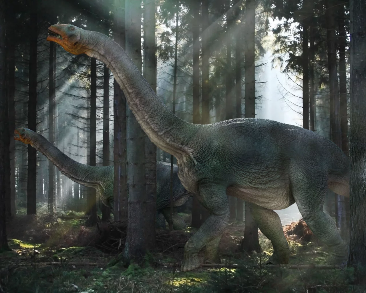 свет, лес, nemegtosaurs, динозавры, лучи