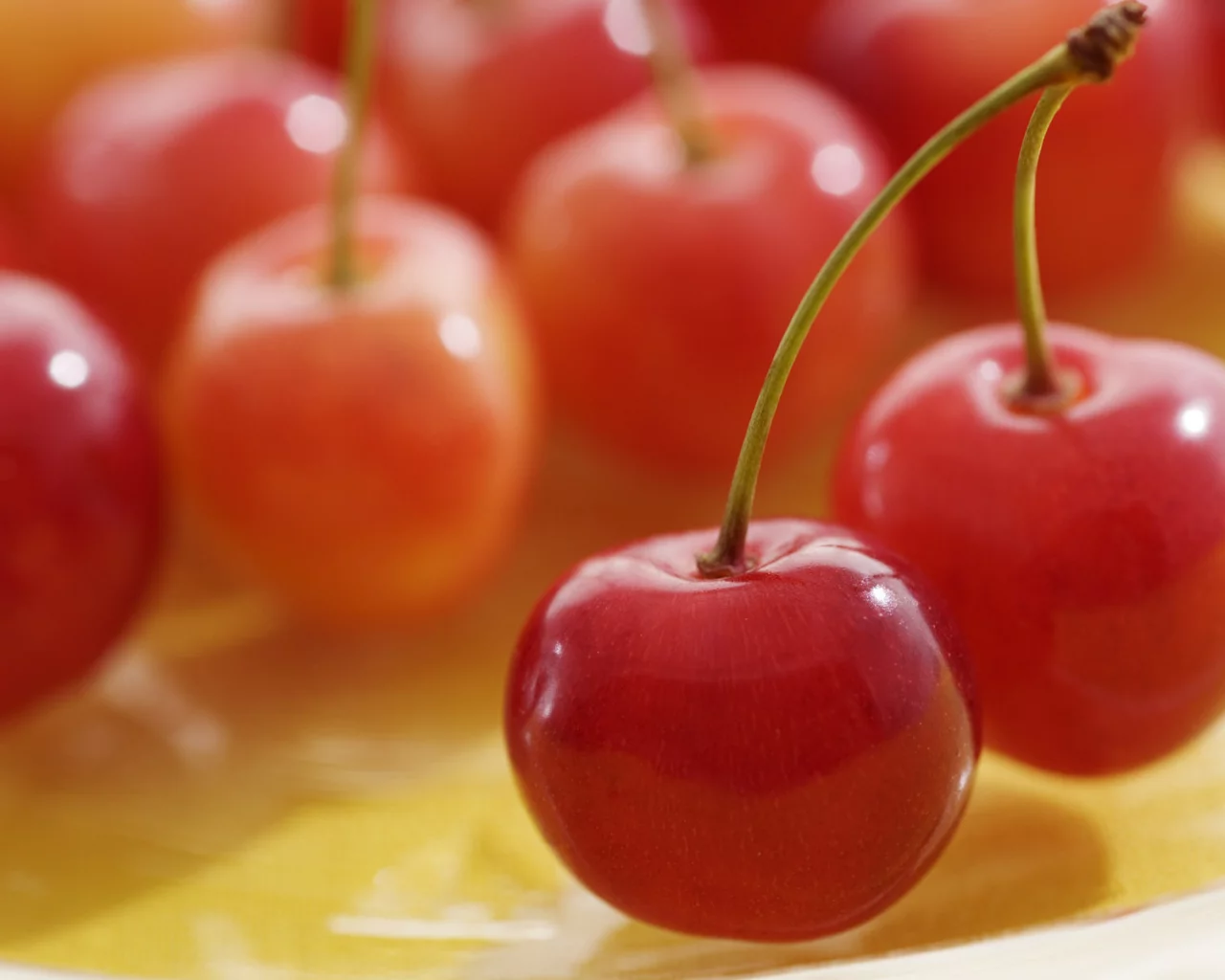 вишни, cherry, вишня, макро