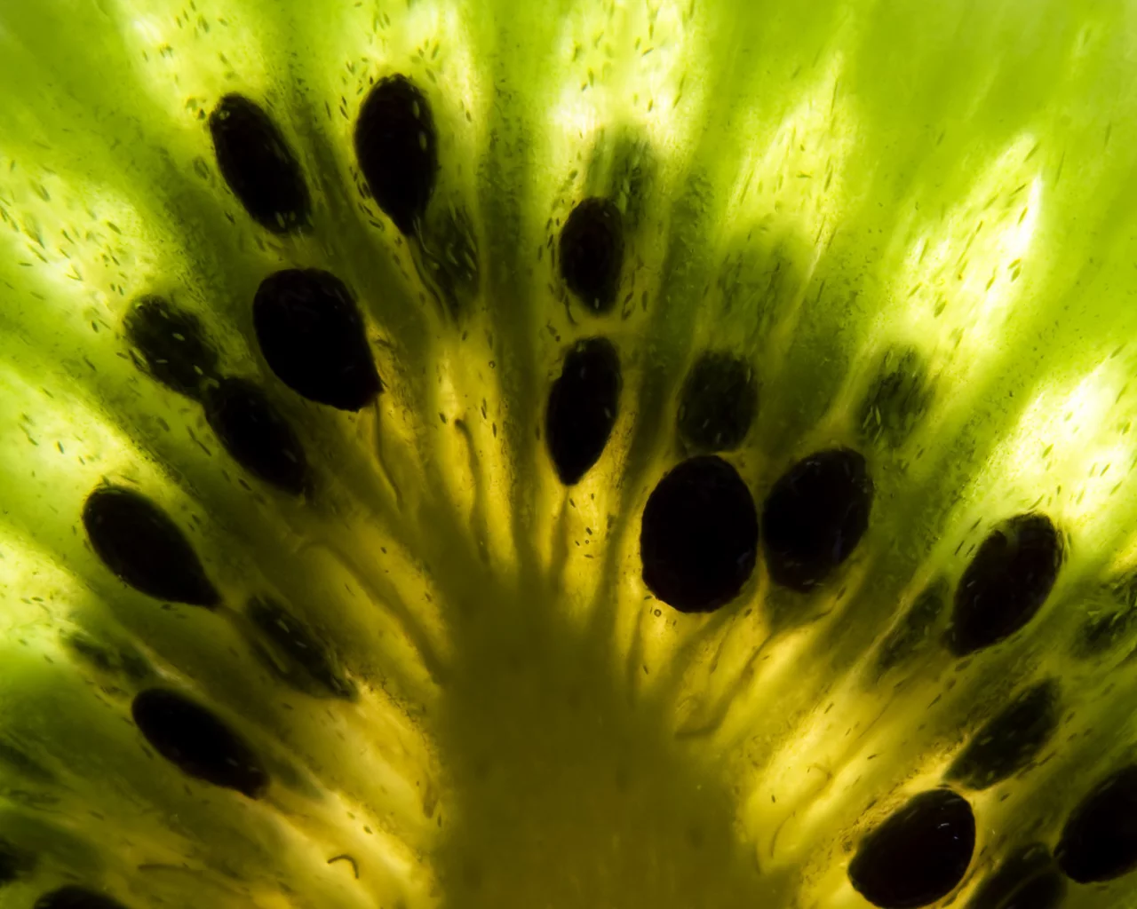 зеленый, фрукты, киви, kiwi
