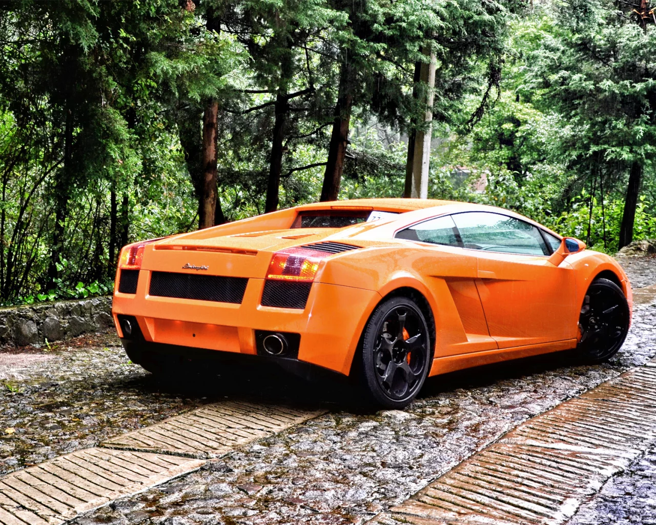 фото, auto, cars, lamborghini gallardo