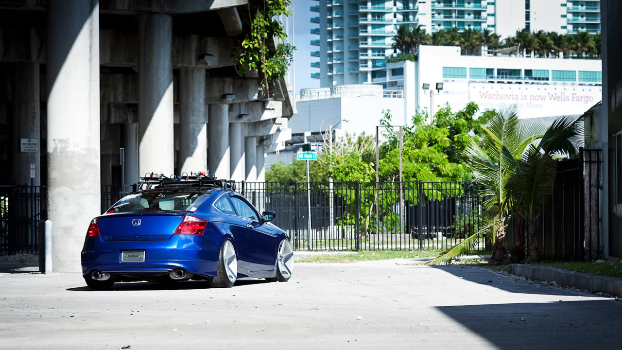 под, stance, аккорд, accord, honda, мостом, хонда, пальмы