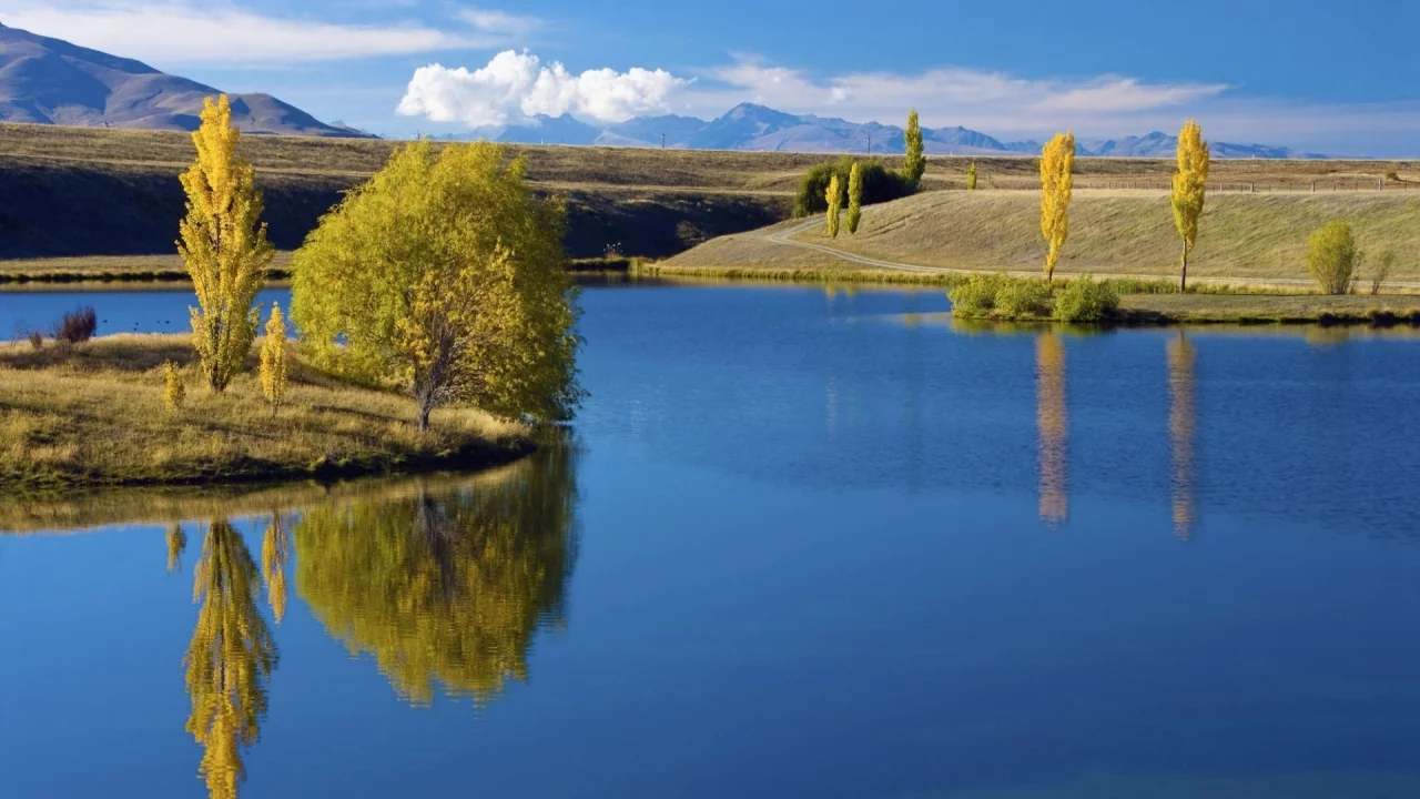 трава, обои, вода, пейзаж, река, деревья
