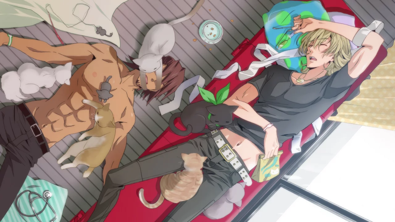 kaburagi t kotetsu, котэ, кошки, диван, комната, barnaby brooks jr, спят, tiger & bunny, парни