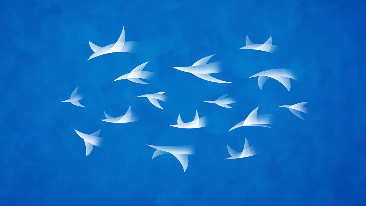 владстудио, небо, flock, полет
