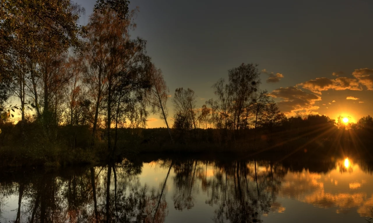 вода, отражение, тишина, озеро, солнце, лес, лучи, вечер, свет, деревья, закат