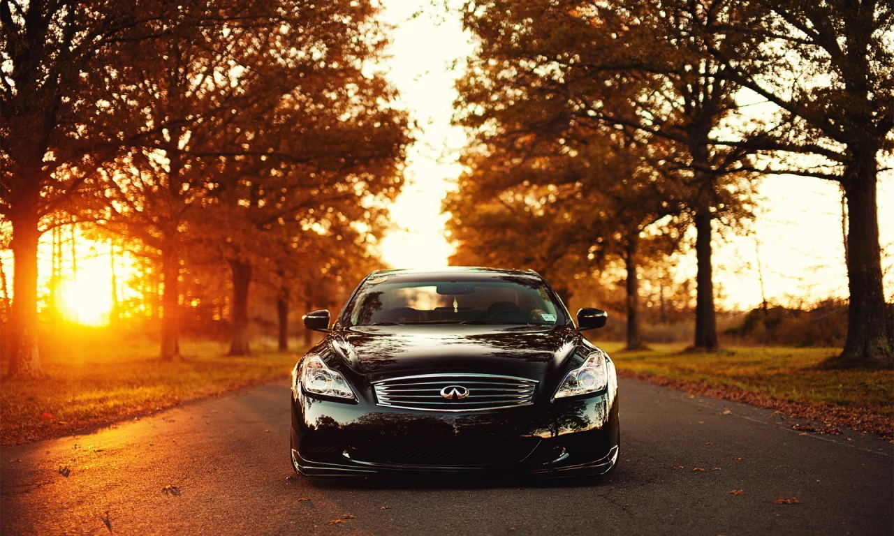 g37, закат, свет, infiniti, солнце, деревья, дорога, инфинити