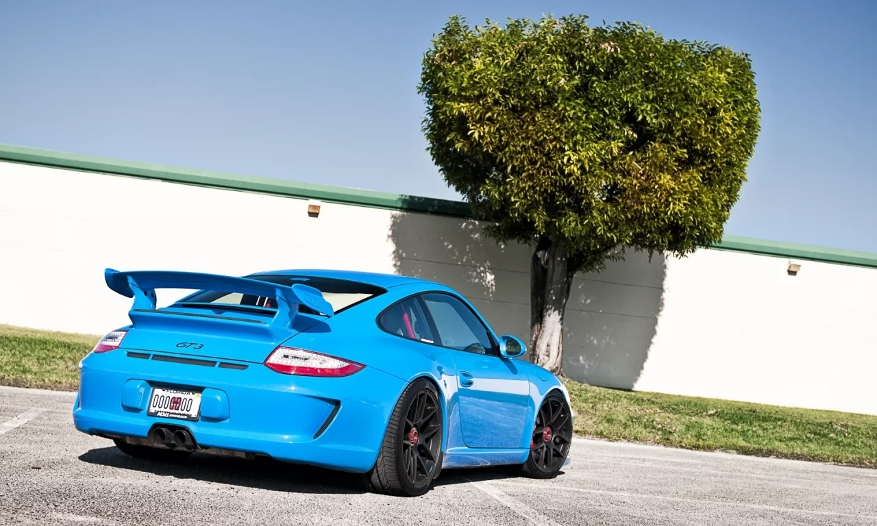 tuning, порше, суперкар, тюнинг, небо, голубой, gt3, забор, гт3, porsche, вид сзади, дерево, 911