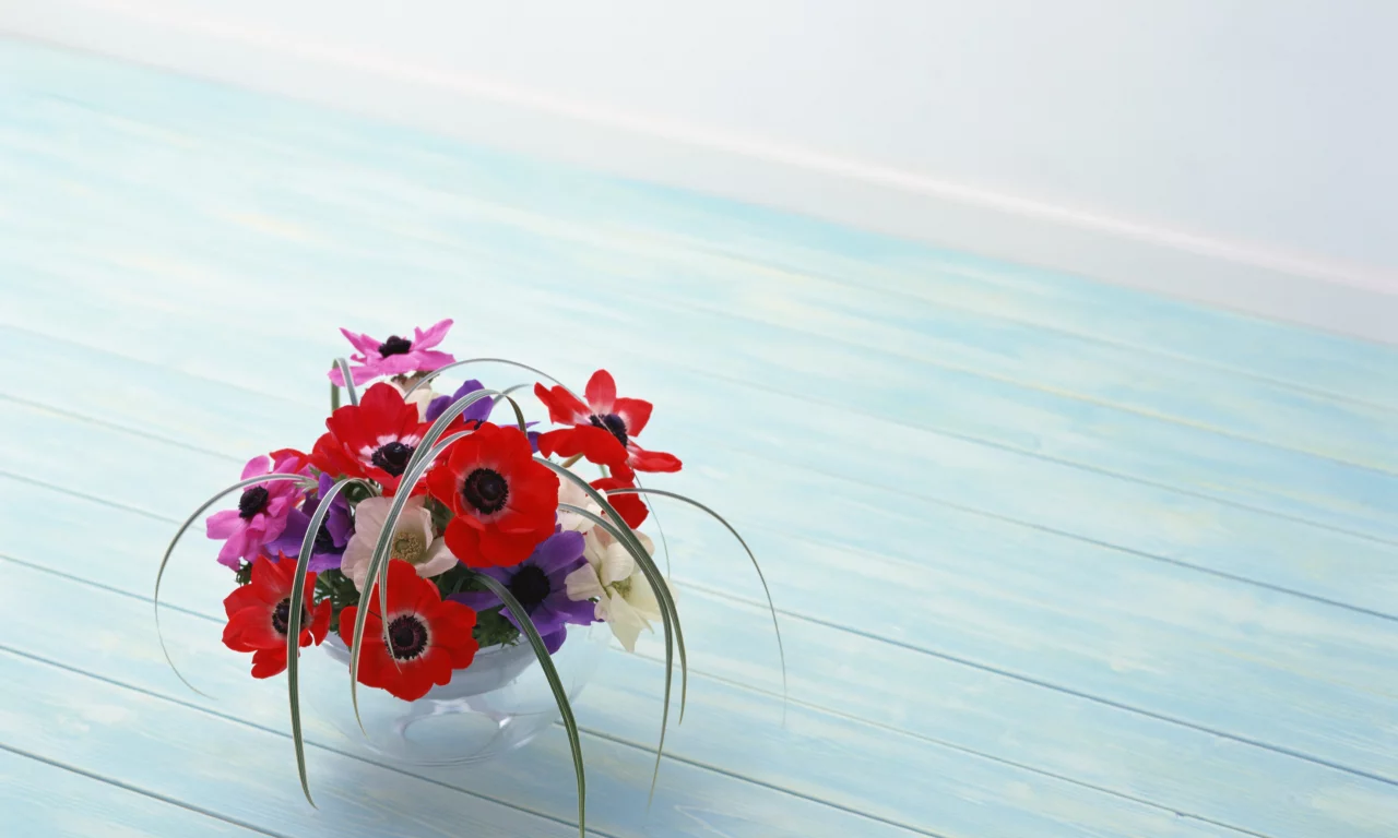 красота, цветы, red, композиция, flowers