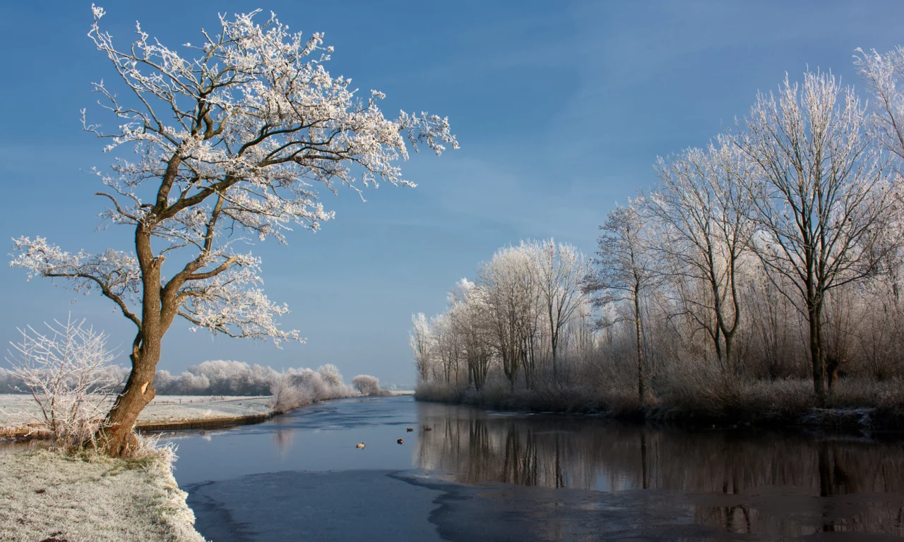 зима, дерево, река, природа