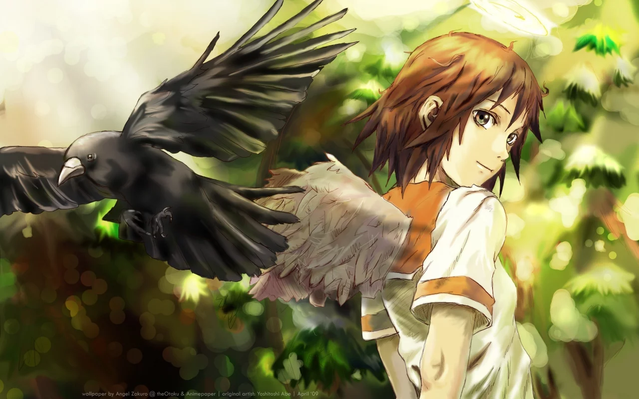 haibane renmei, ворон, крылья