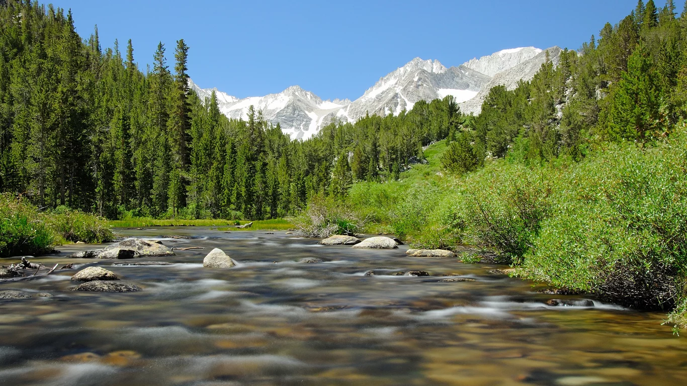 камни, поток, небо, река, лес