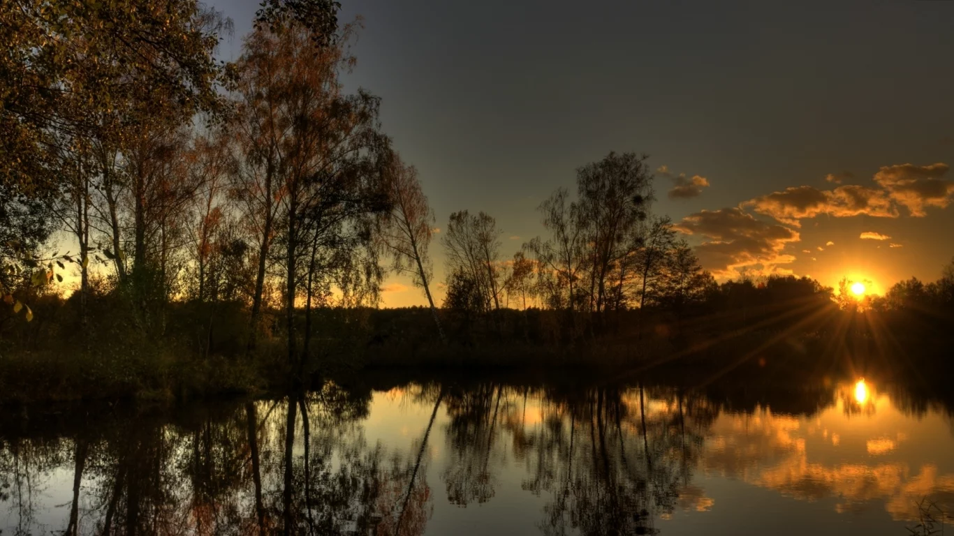 вода, отражение, тишина, озеро, солнце, лес, лучи, вечер, свет, деревья, закат