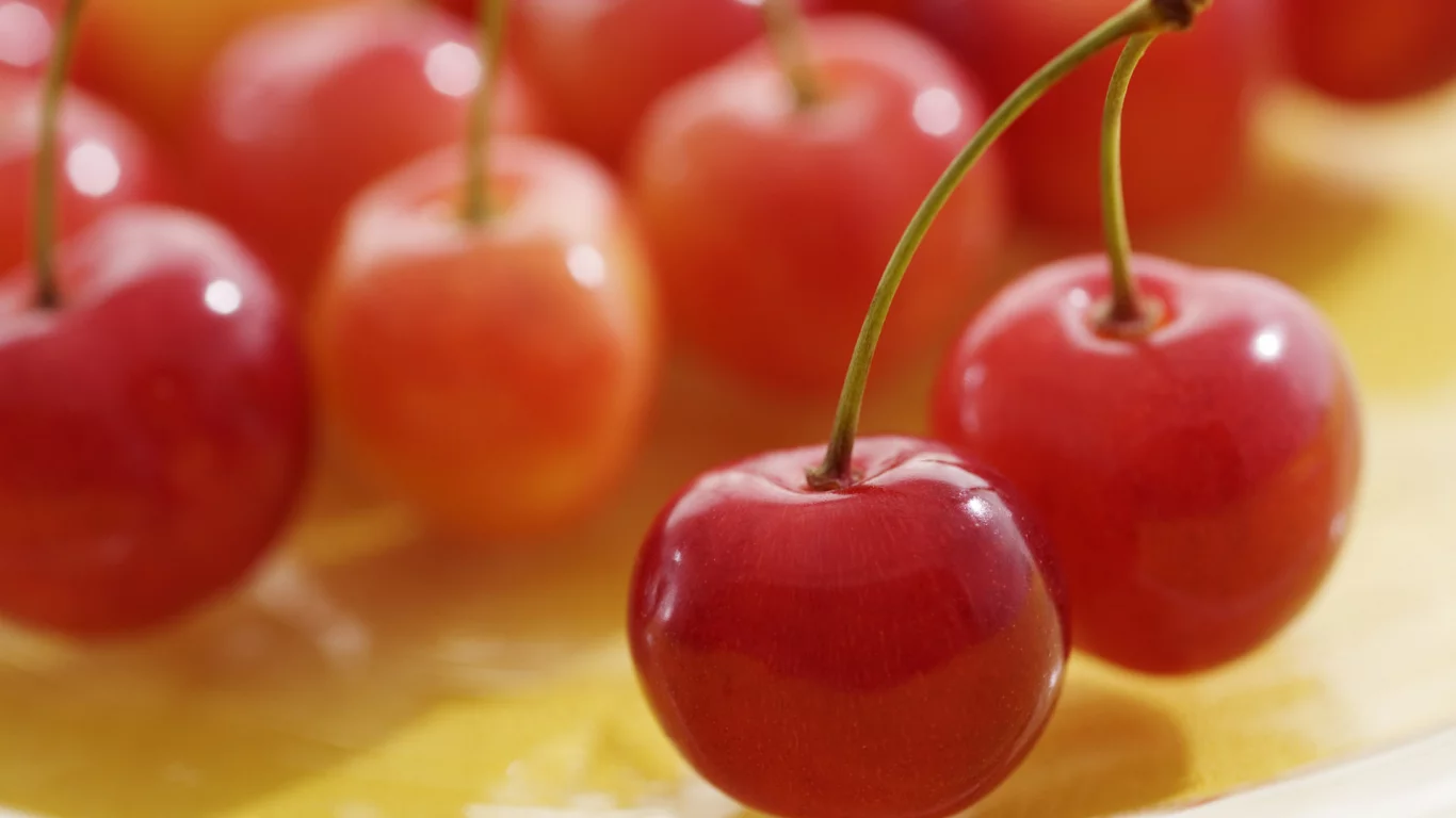 вишни, cherry, вишня, макро