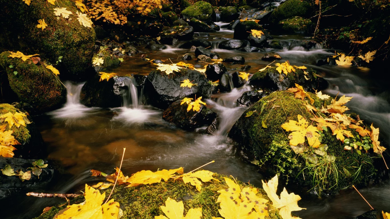 америка, природа, вода