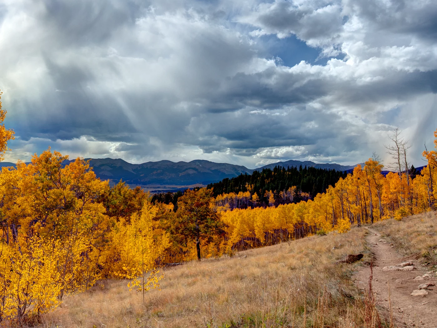 облака, autumn, landscape, grass, трава, mountains, деревья, небо, свет, пейзаж, горы, sky, light, nature, природа, forest, 2560x1600, лес, trees, осень, clouds