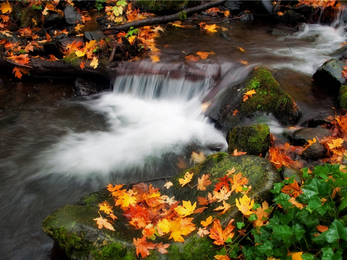 осень, вода, листва, поток, природа