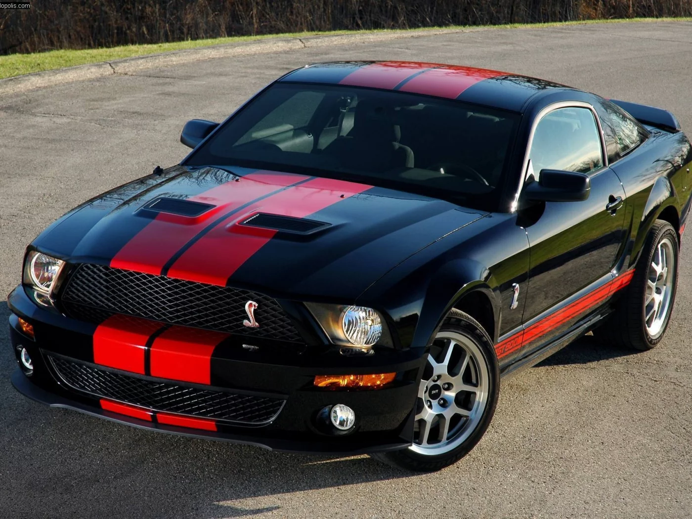 shelby gt500, машына, ford mustang