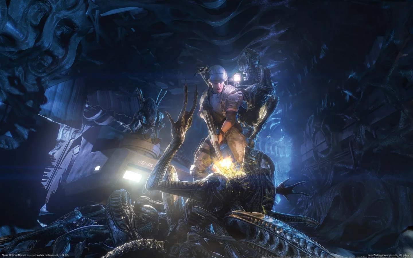чужие, морпехи, aliens colonial marines