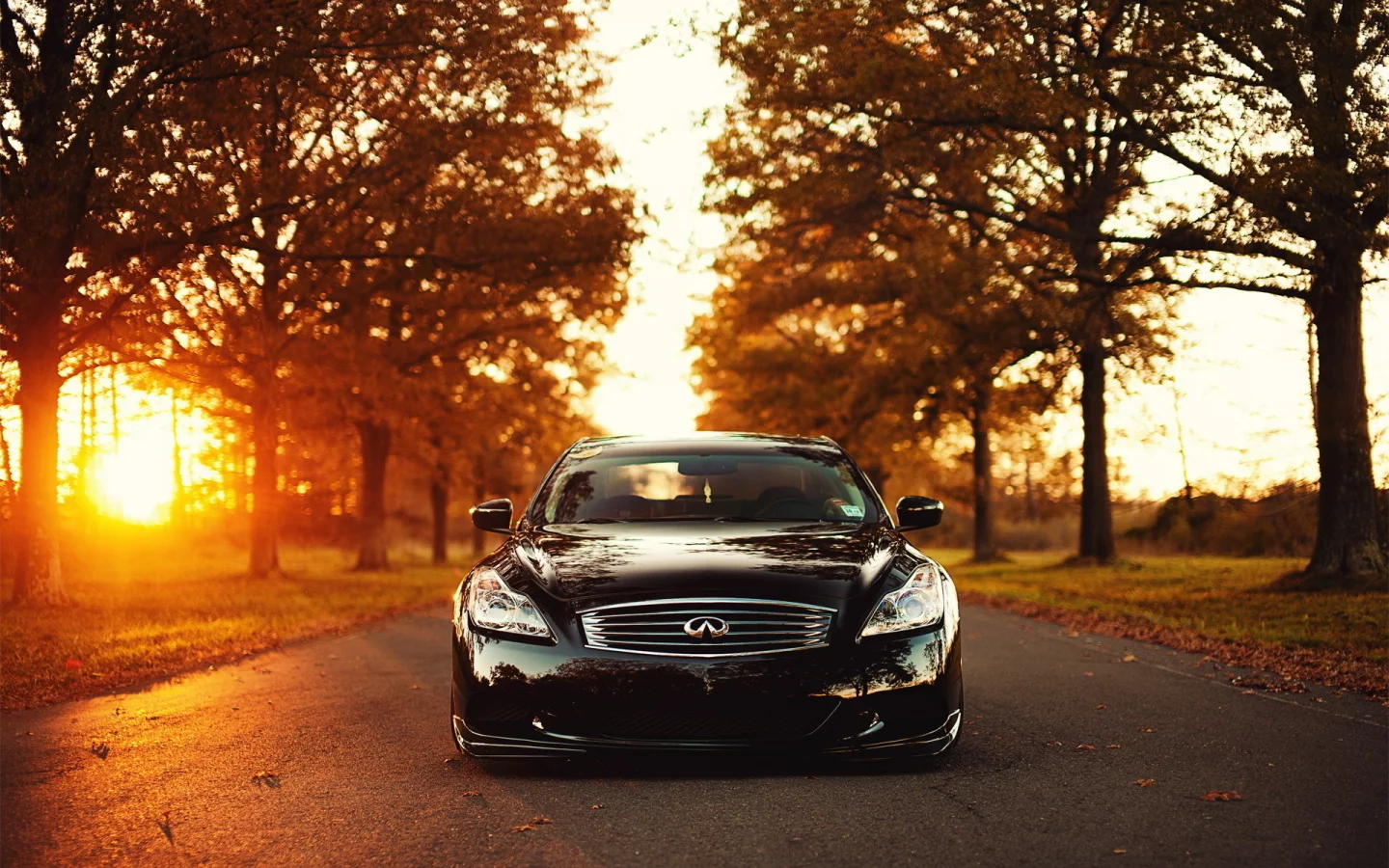 g37, закат, свет, infiniti, солнце, деревья, дорога, инфинити