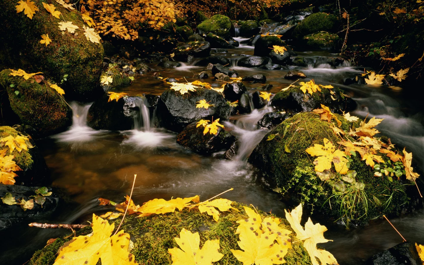 америка, природа, вода