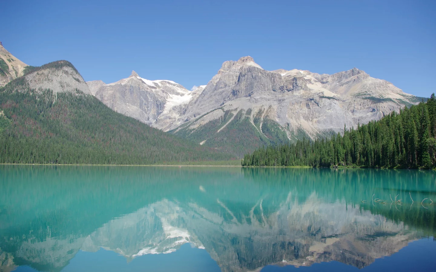 природа, yoho, пейзаж, изумрудное озеро, йохо, emerald lake, national park, горы, национальный парк, wallpaper, лес, озеро, обои