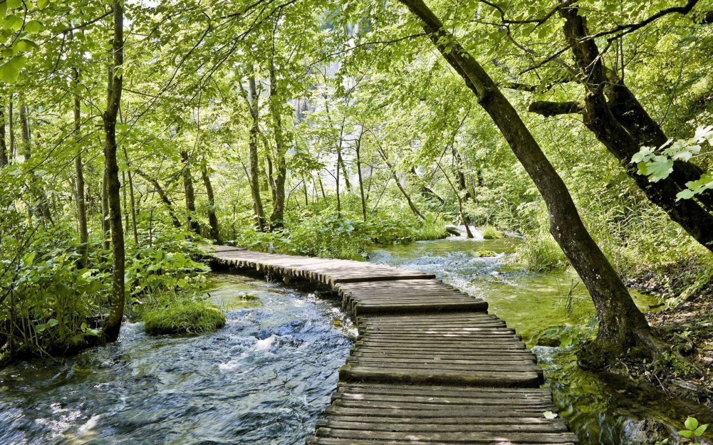 ручей, природа, вода, мост
