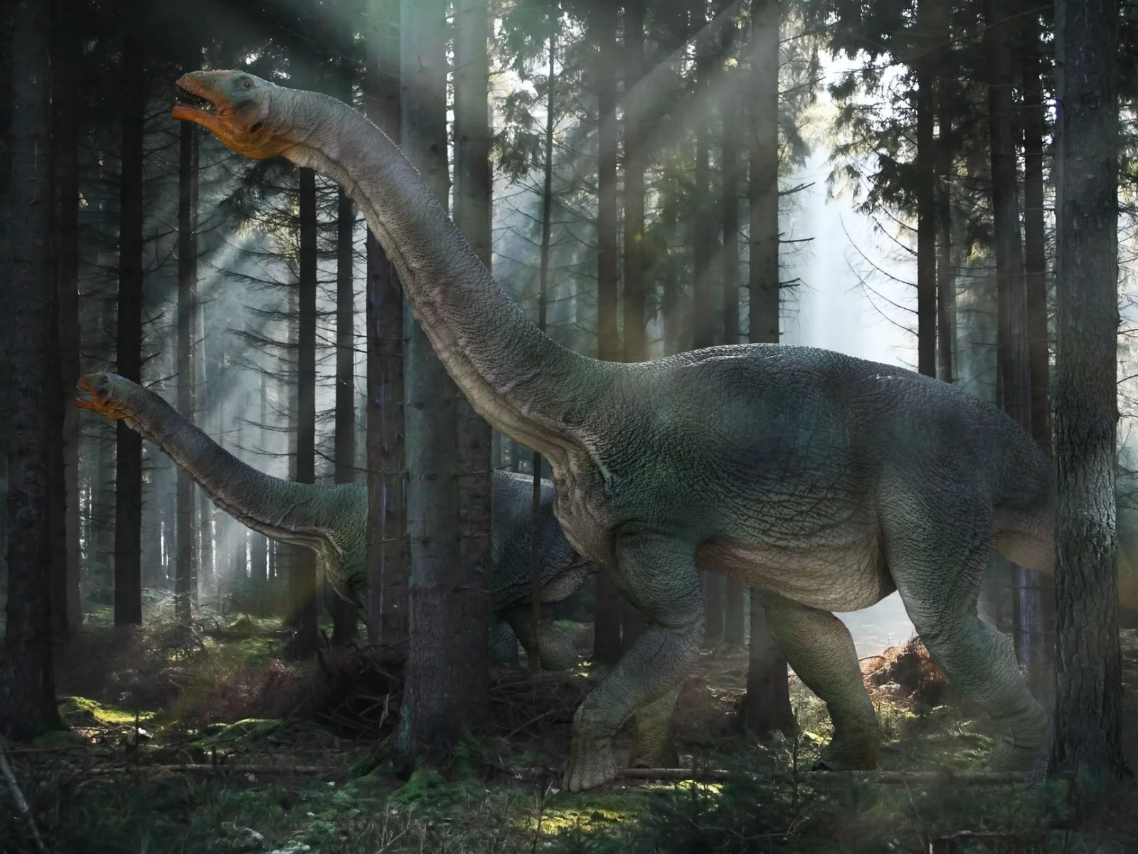 свет, лес, nemegtosaurs, динозавры, лучи