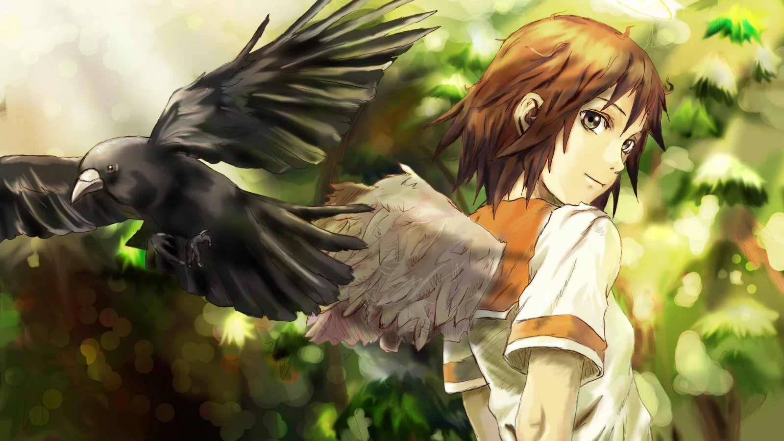 haibane renmei, ворон, крылья