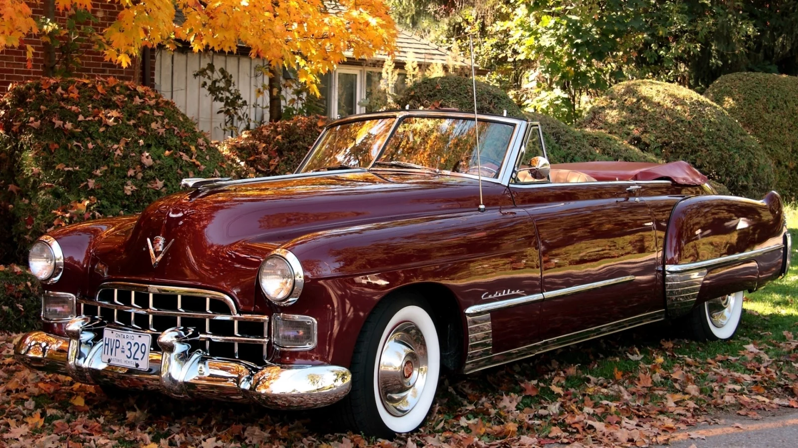 convertible, деревья, кадилак, кабриолет, сикститу, листва, 1949, кусты, бордовый, sixty-two, шикарная машина, cadillac