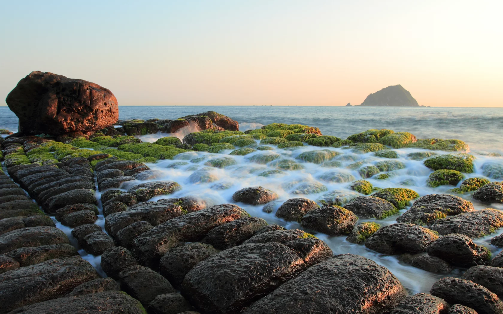 водоросли, камни, море