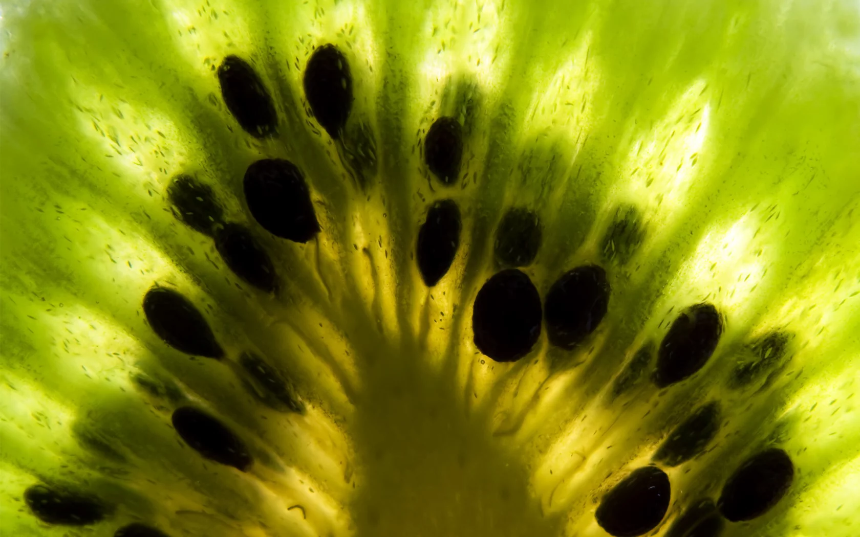 зеленый, фрукты, киви, kiwi