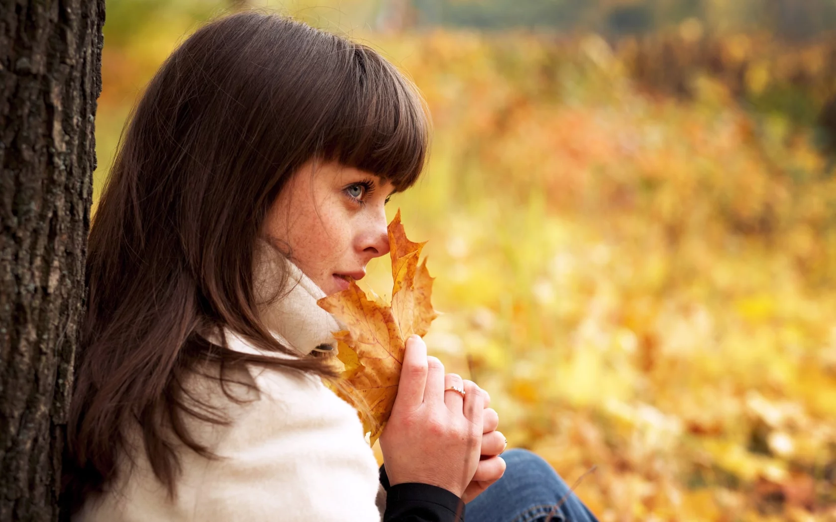листья, кленовые, взгляд, осень, девушка, симпатичная, autumn female