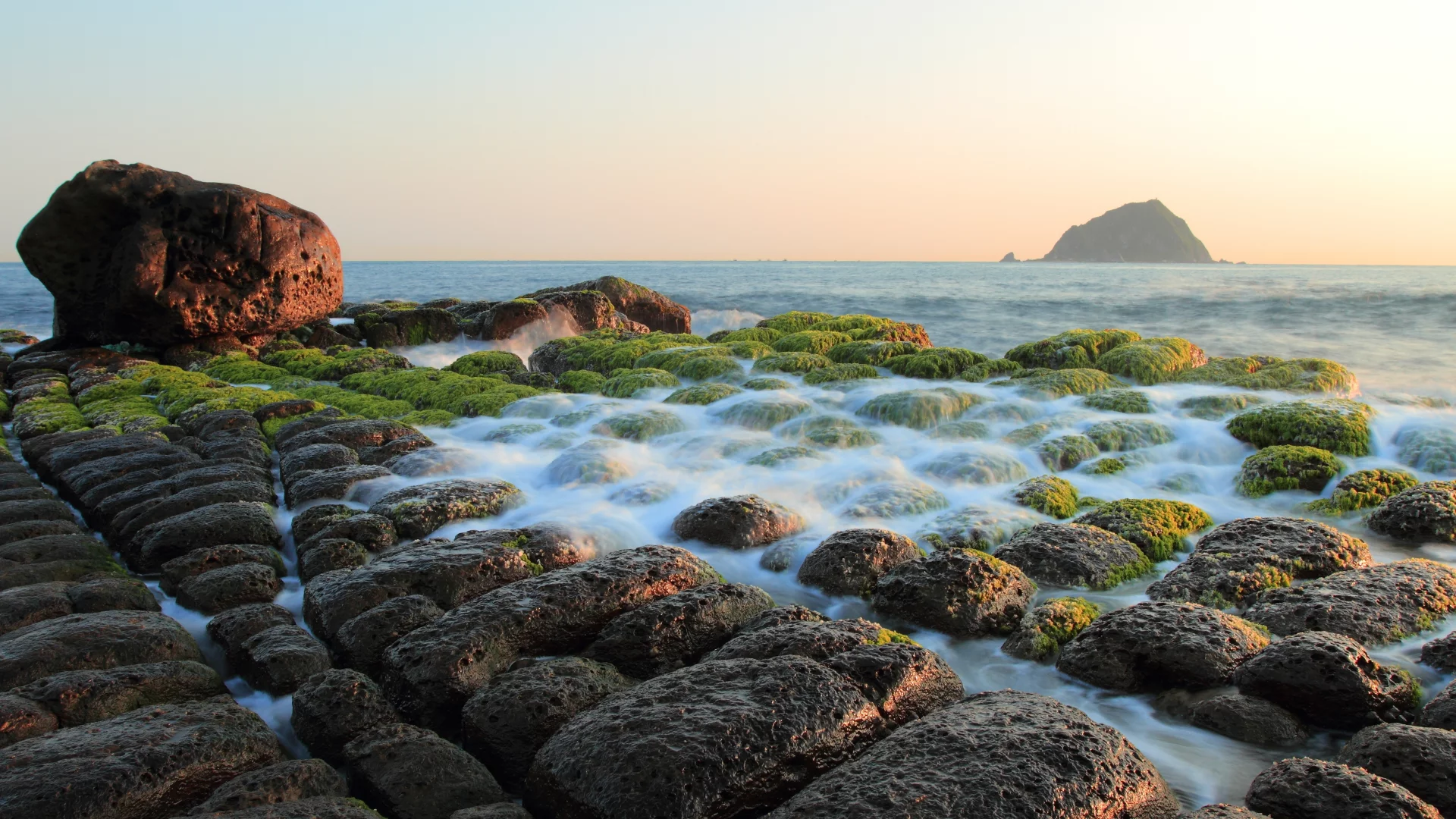 водоросли, камни, море