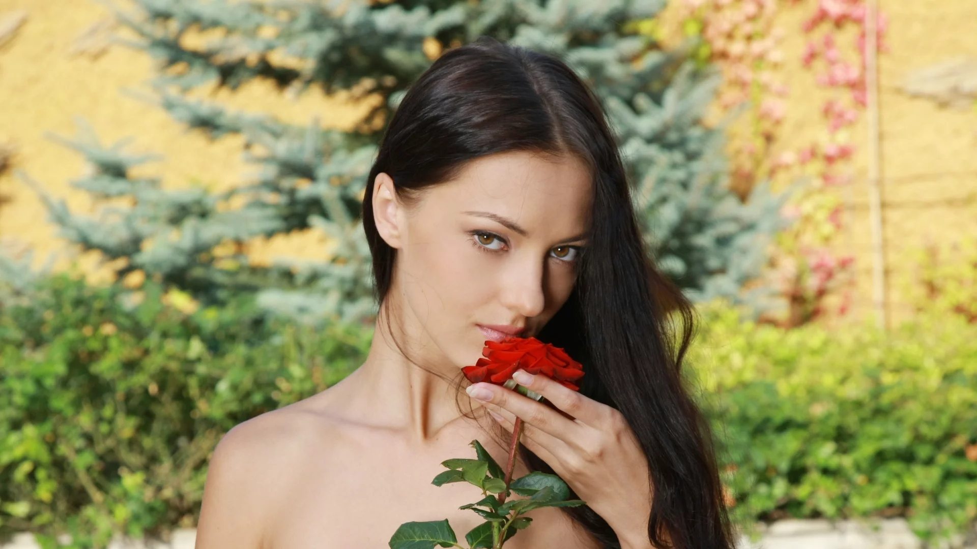 роза, брюнетка, взгляд, волосы, девушка