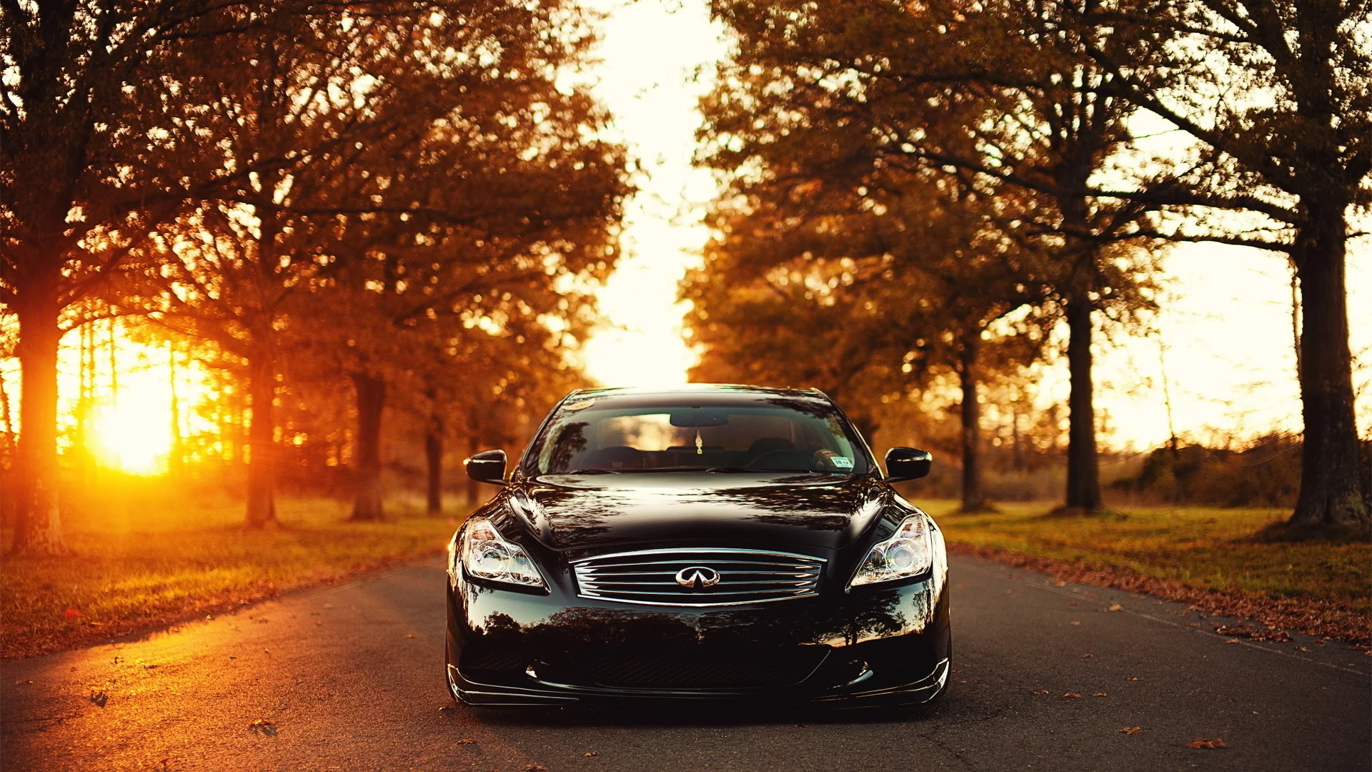 g37, закат, свет, infiniti, солнце, деревья, дорога, инфинити