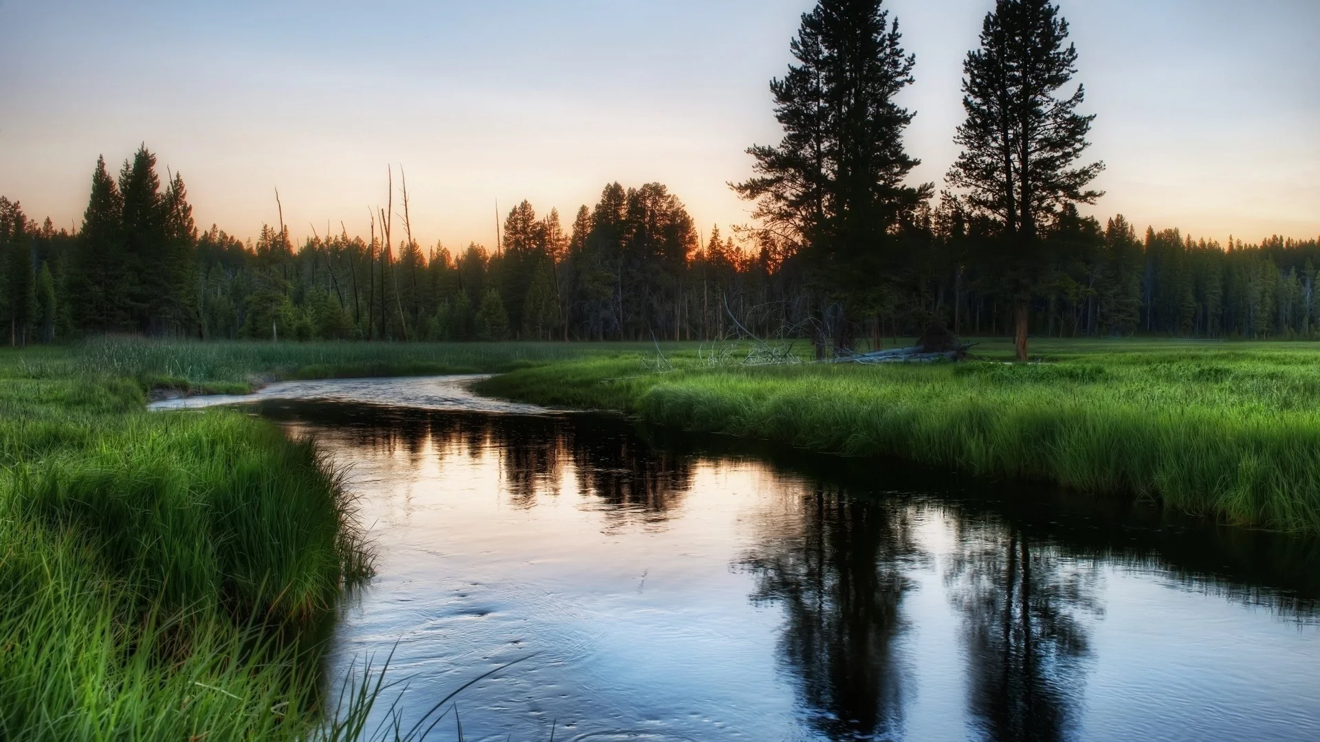 вечер, закат, деревья, трава, лес, вода, небо, река