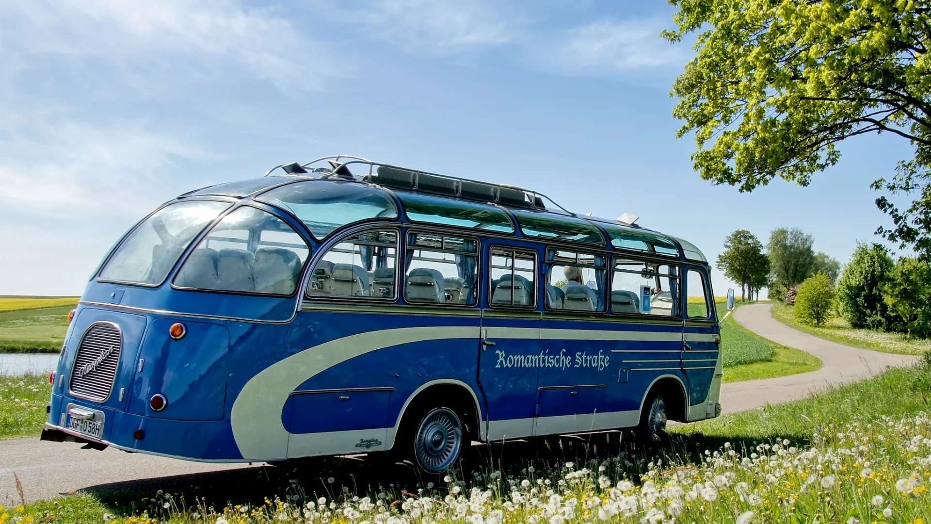 одуванчики, синий, трава, nh, дорога, неоплан, bus, 67, цветы, neoplan, автобус, дерево, небо