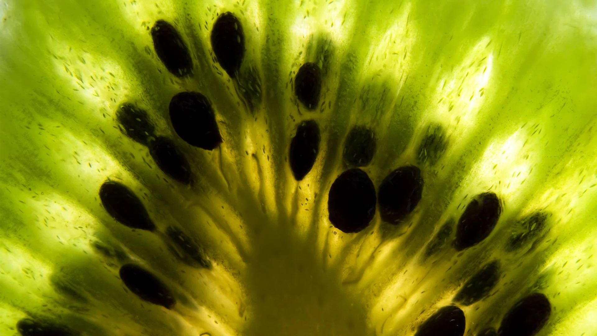 зеленый, фрукты, киви, kiwi