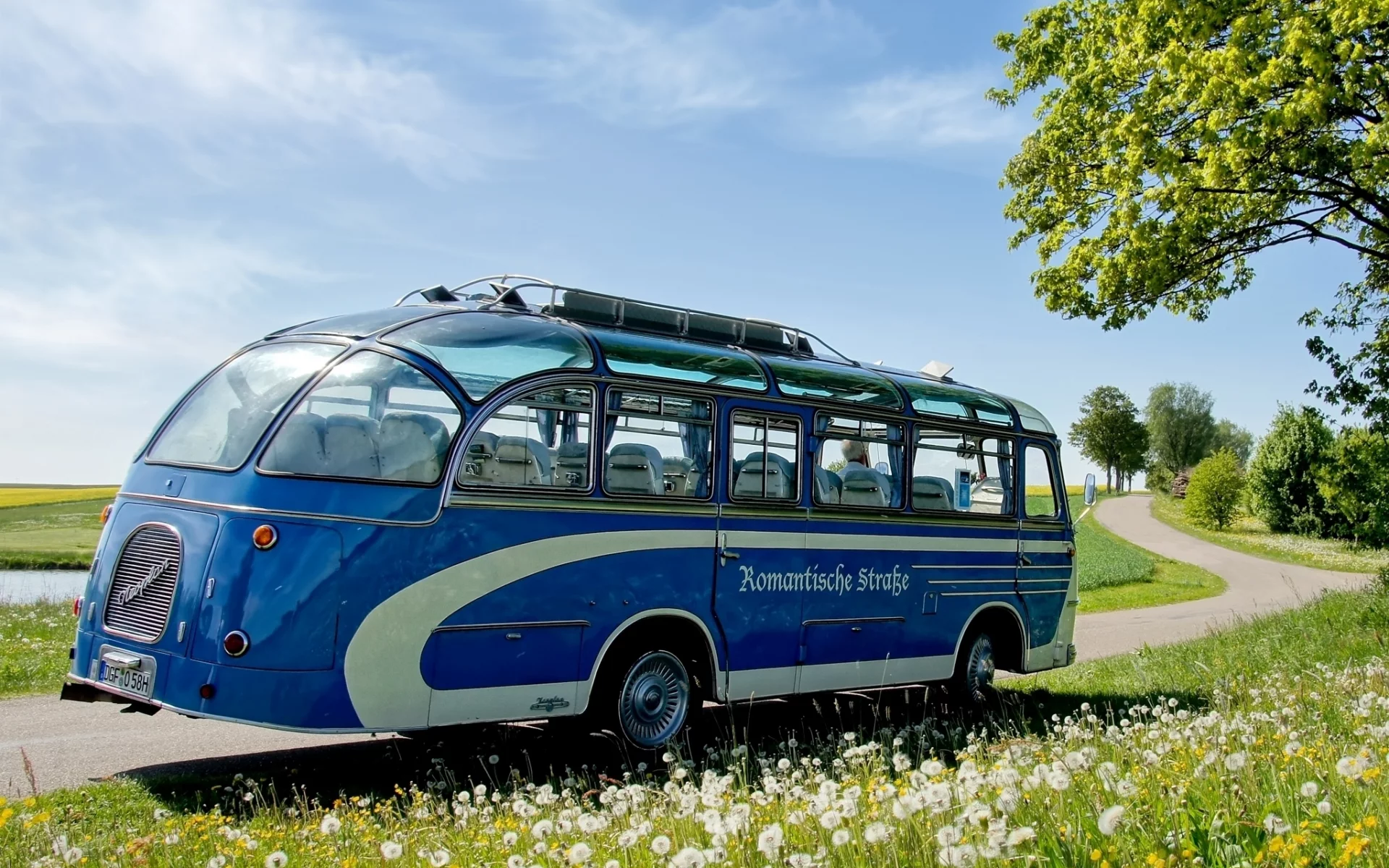 одуванчики, синий, трава, nh, дорога, неоплан, bus, 67, цветы, neoplan, автобус, дерево, небо
