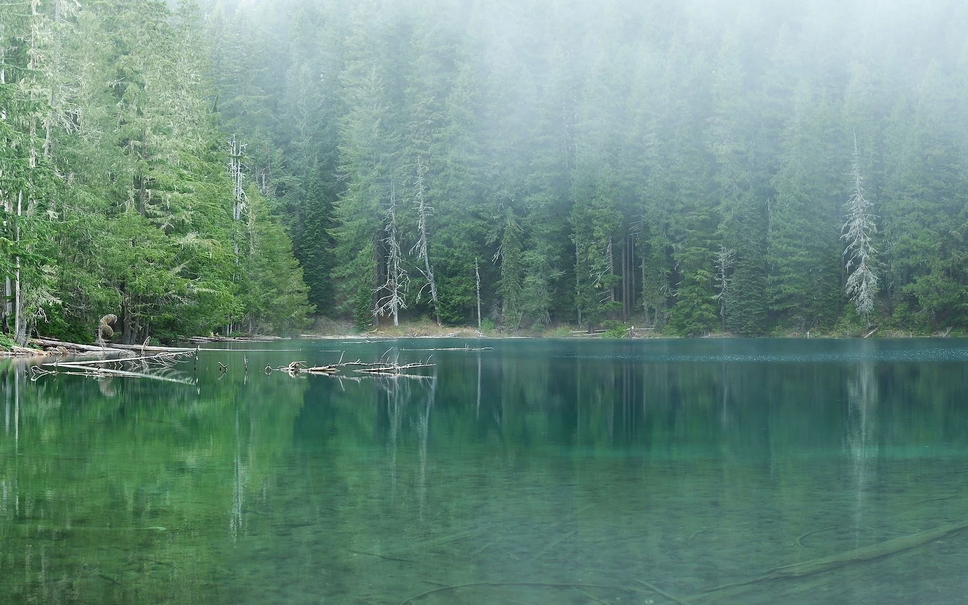 1920x1200, природа, деревья, trees, fog, nature, озеро, лес, туман, вода, water, lake, пейзаж, landscape, forest