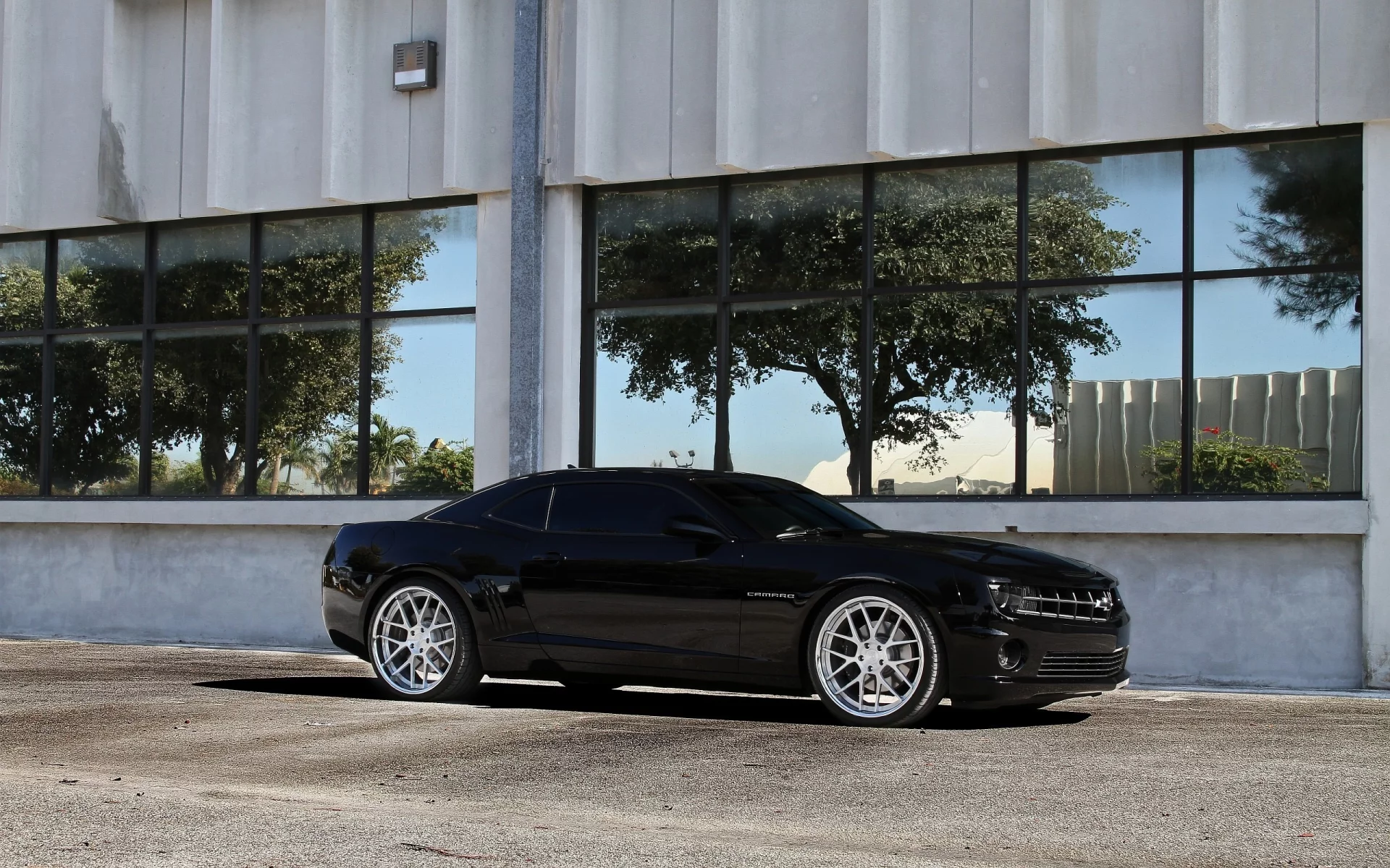 асфальт, chevrolet camaro ss, окна