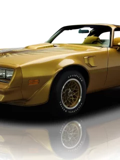 firebird, y-88, фаэрбёд, понтиак, gold special edition , trans am, pontiac, 1978