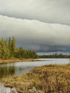 лес, тучи, река, деревья